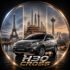 H30cross